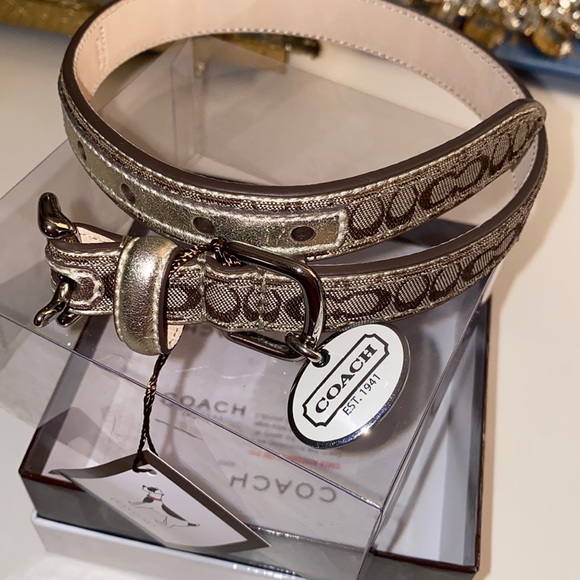 Coach Dog Collar. Size Medium. New in box!